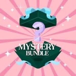 Women's clothing mystery box